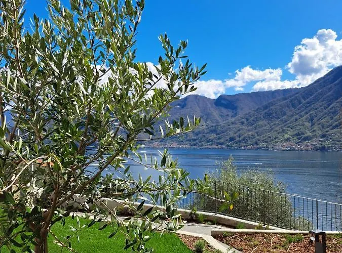 Clementina Boutique Отель 4*